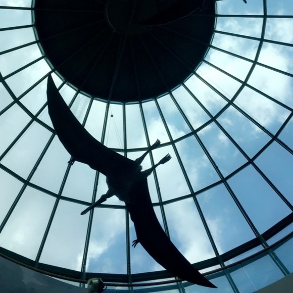 Meet your Posher, Callie - Picture 1 of 1